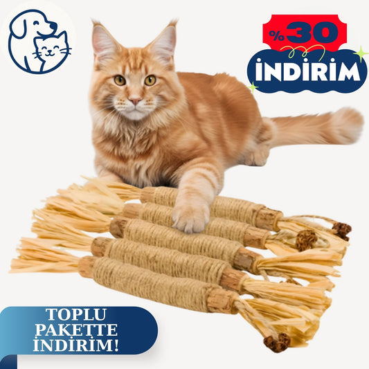 Doğal Kedi Çiğneme Çubuğu