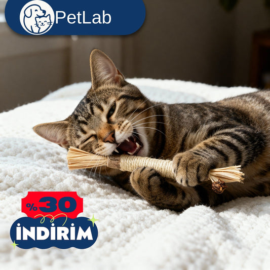 PetLabtr™ Doğal Kedi Çiğneme Çubuğu