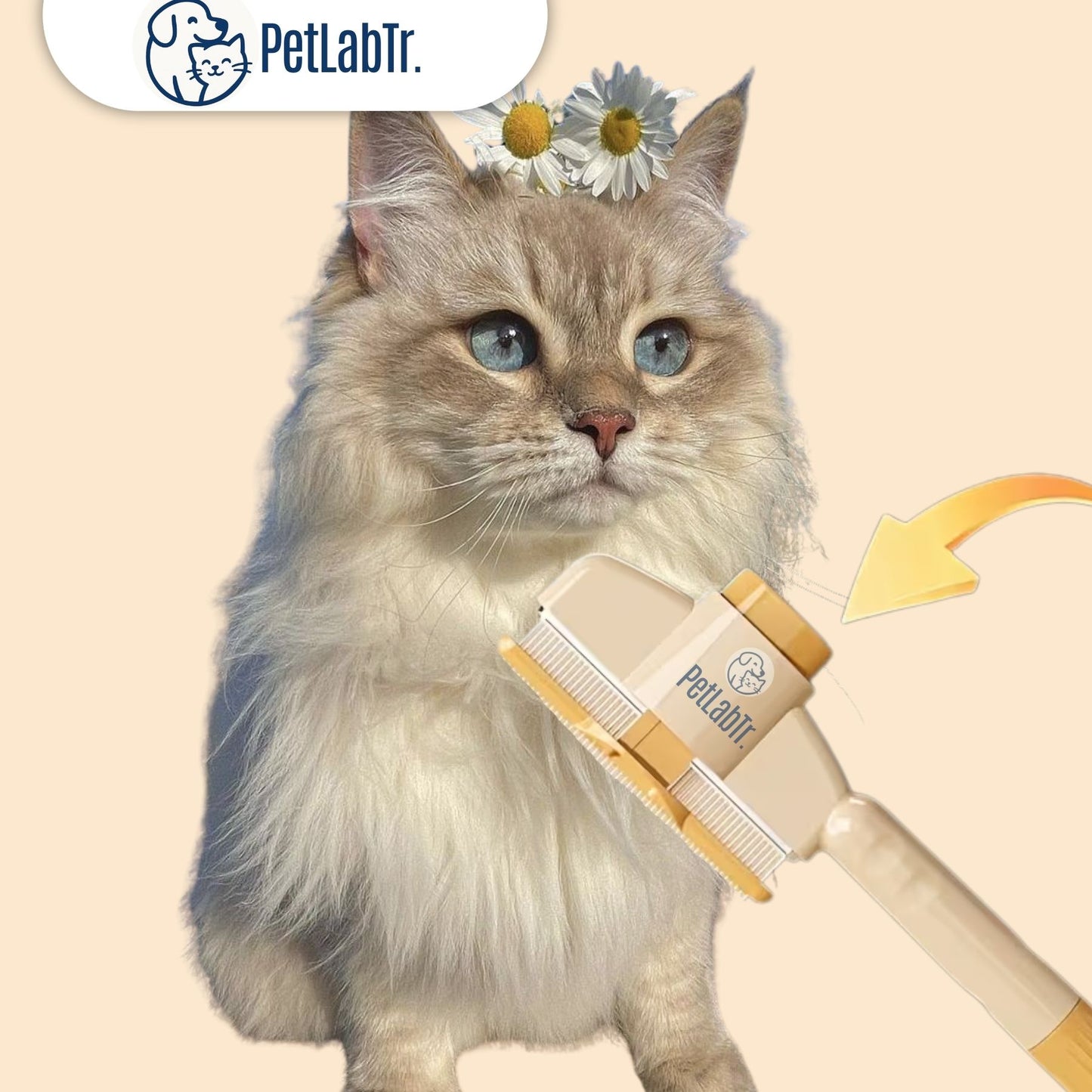 PetLabtr™ Masaj Etkili Tüy Temizleyici