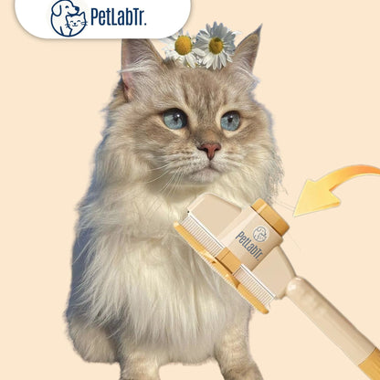 PetLabtr™ Masaj Etkili Tüy Temizleyici